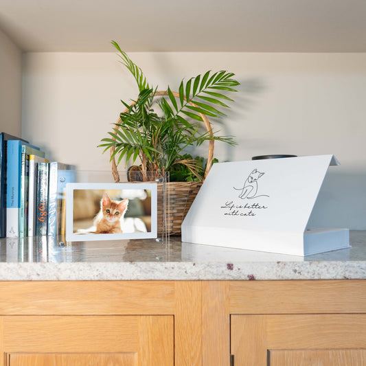 pet digital photo frame, pet photo frame, digital pet frame, pet picture frame, dog digital photo frame, cat digital photo frame, pet memory frame, pet photo slideshow frame, digital pet photo display, pet photo frame with slideshow, pet photo frame with music, pet memorial digital frame, digital frame for pet lovers, dog memory frame, cat memory frame, customizable pet digital frame, pet photo frame with wifi, pet digital picture album, interactive pet photo frame, pet digital frame with app.