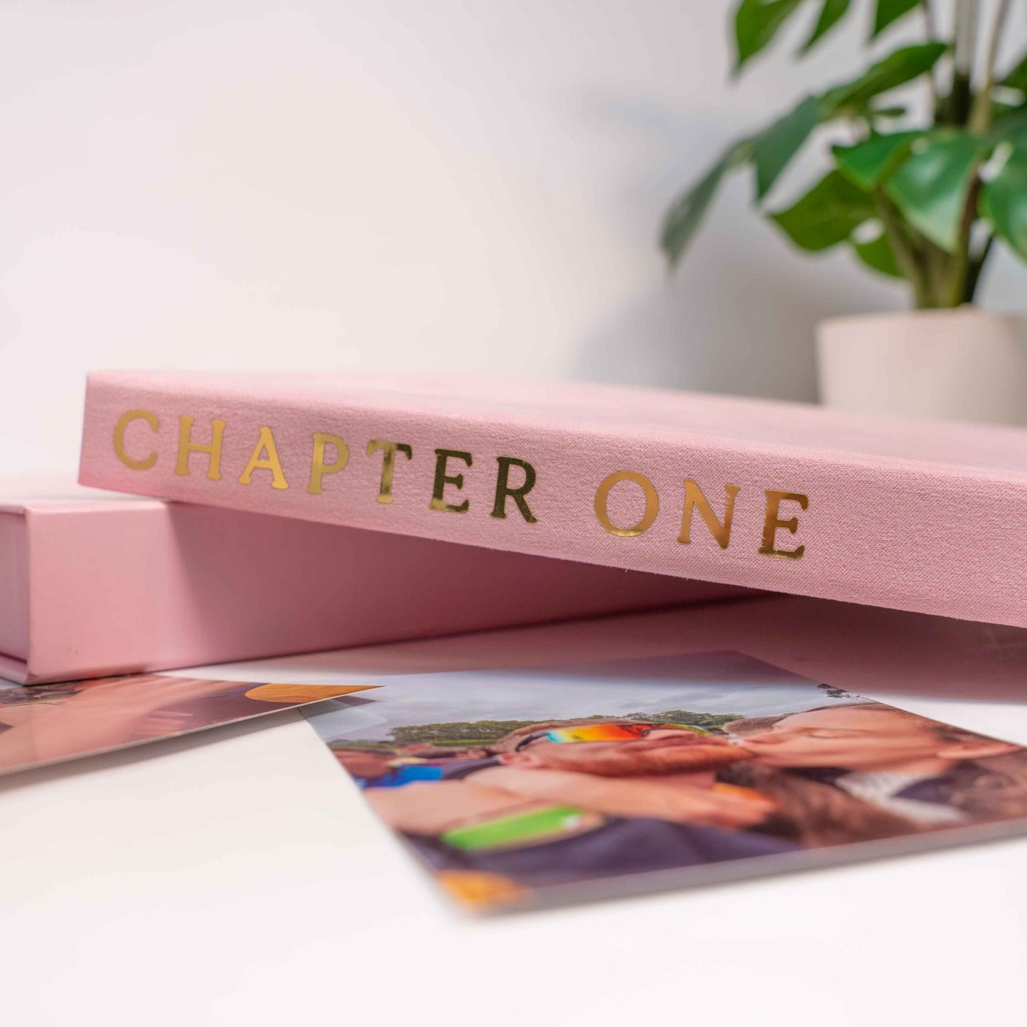 Blush Pink Velvet Photo Album