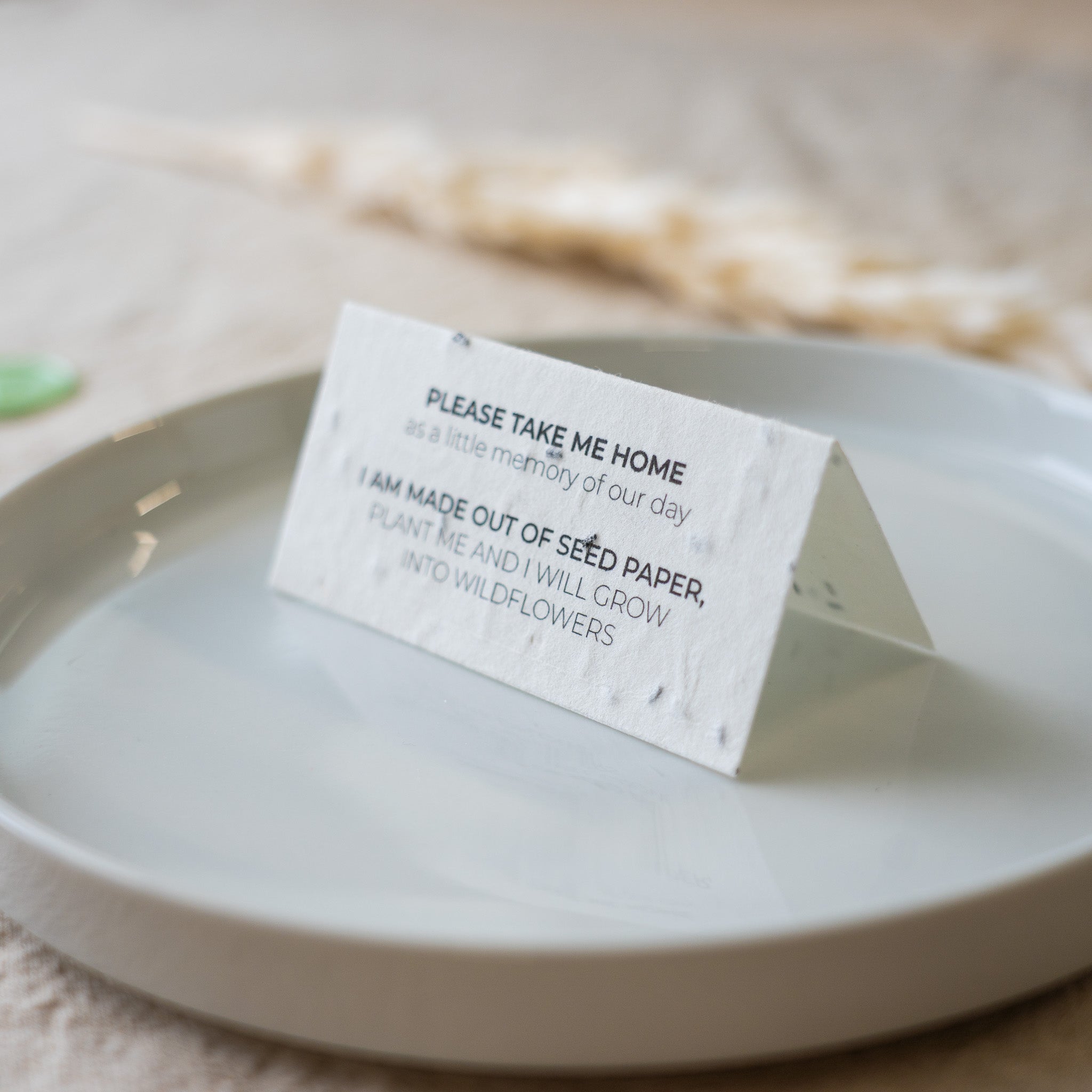 Seed paper card on a white plate with a natural background