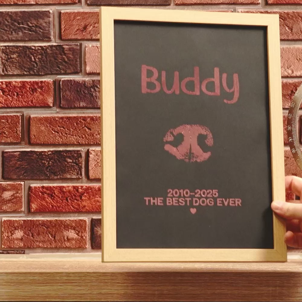 Load video: gifts for dogs